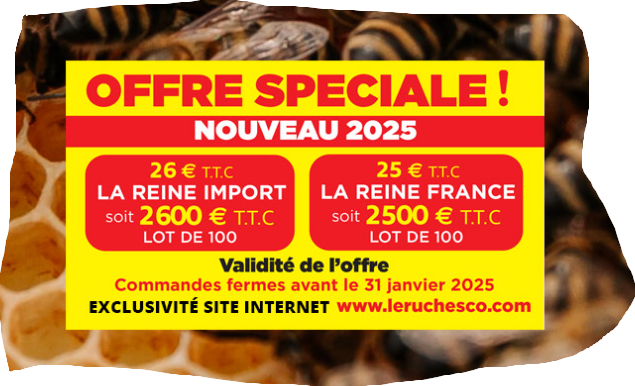 Promo Reines IMPORT  2025 à partir de 26€ / unité