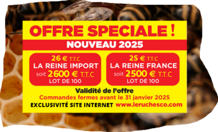 Promo Reines IMPORT  2025 à partir de 26€ / unité