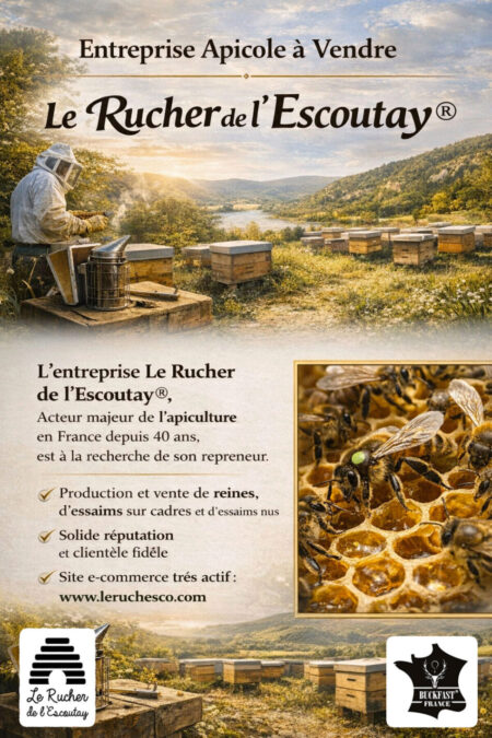 Nous recherchons un repreneur