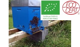 Les essaims sur cadres Essaims sur cadres de l'année avec reine fécondée - Production AB Essaims sur cadres de l'année avec reine fécondée - Production AB